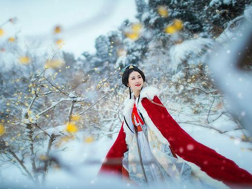 雪中腊梅配一美人