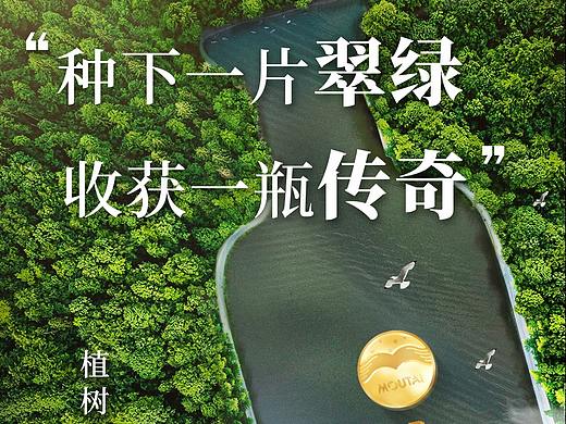 茅台旗下新品王茅的新媒体用图