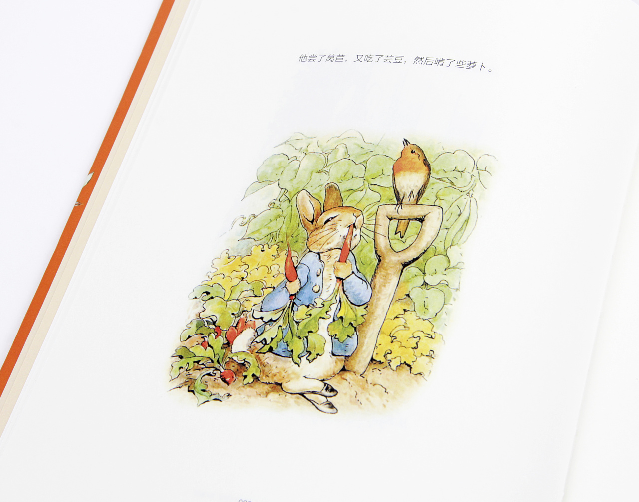 英国插画师——小兔彼得的主人 - 极典美育