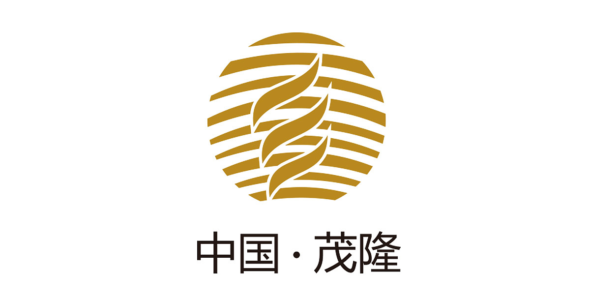     茂隆财富画册设计