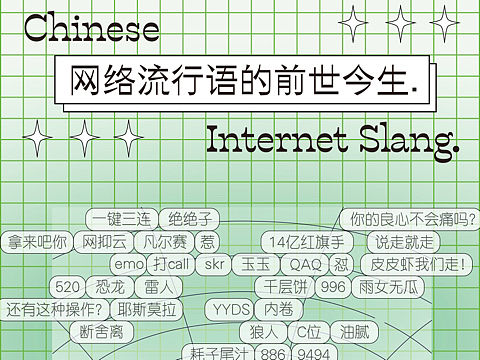 【信息可视化】中国网络流行语2021