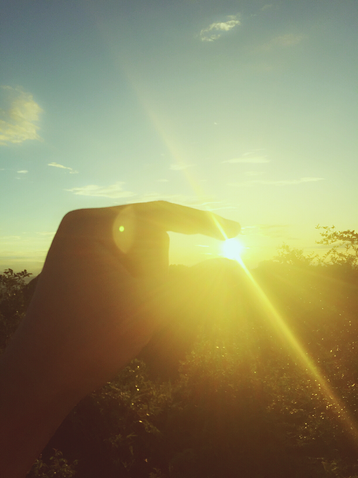 行走的趣图,手机拍摄