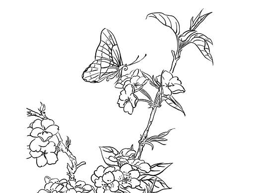 线描练习（个人主页-ZNTY4NDUxNzY=） - 创作习作 - 站酷设计师Sunset_about原创素材 - 站酷ZCOOL