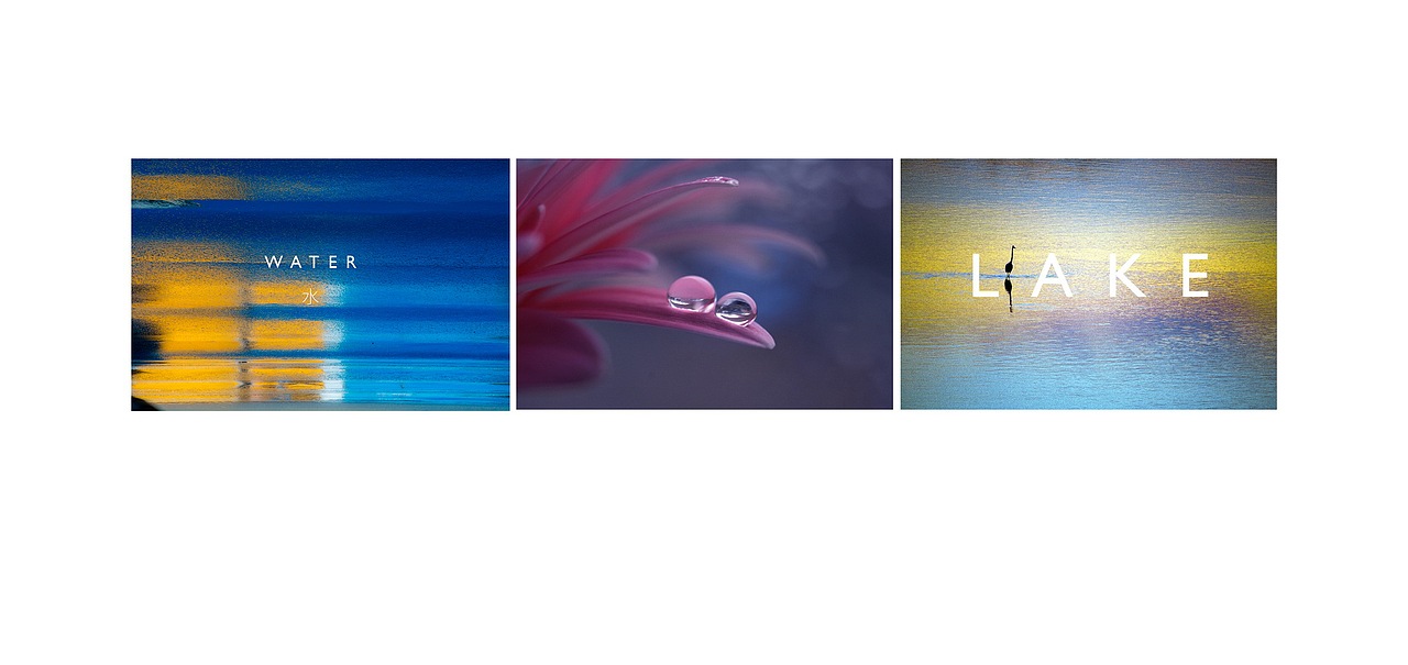 雅居乐地产武汉项目竞标