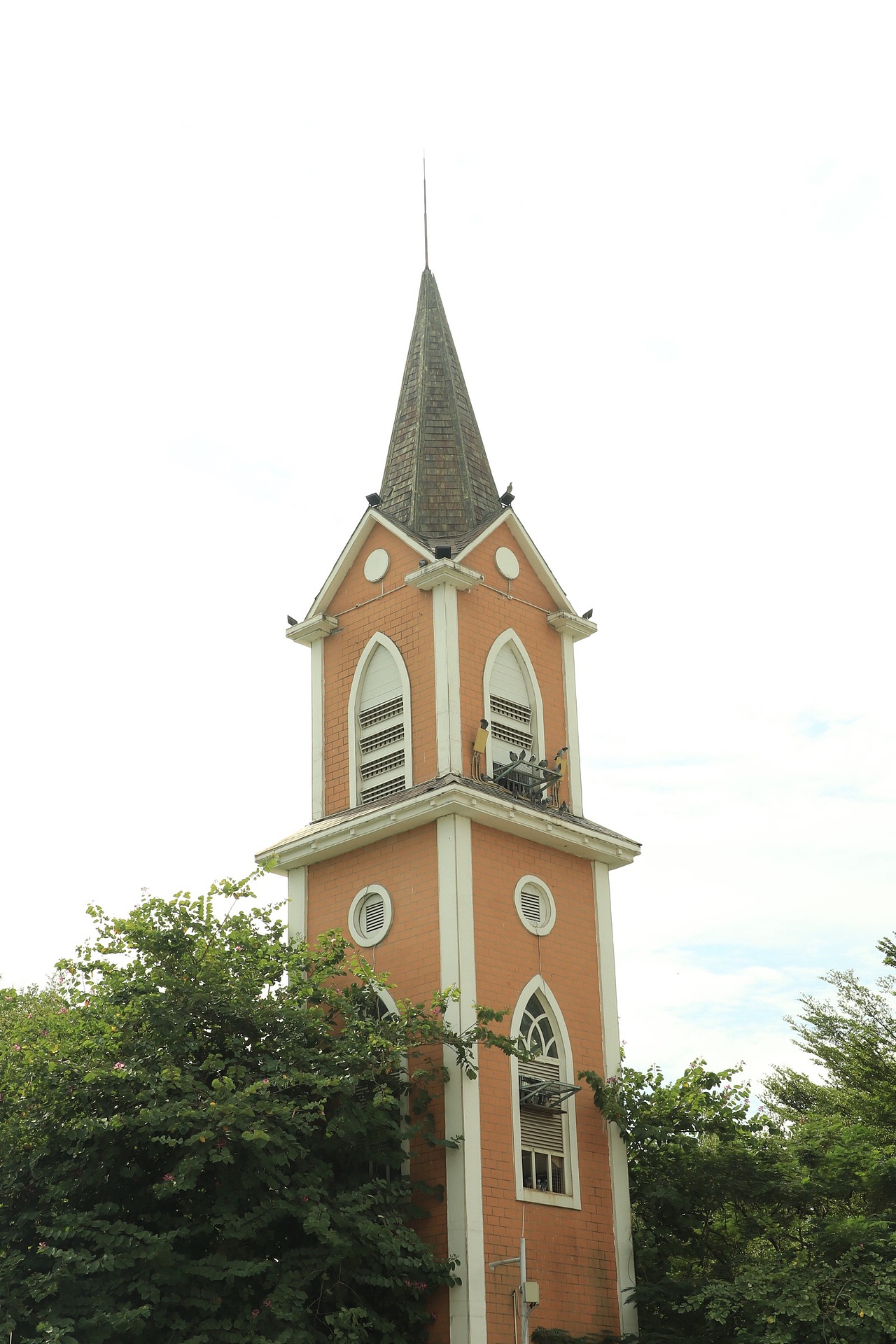 所以说滤镜还是很有必要的（图ZMjMyMTQzOTM2） - 风光摄影 - 站酷设计师逍遥不倒翁原创素材 - 站酷ZCOOL