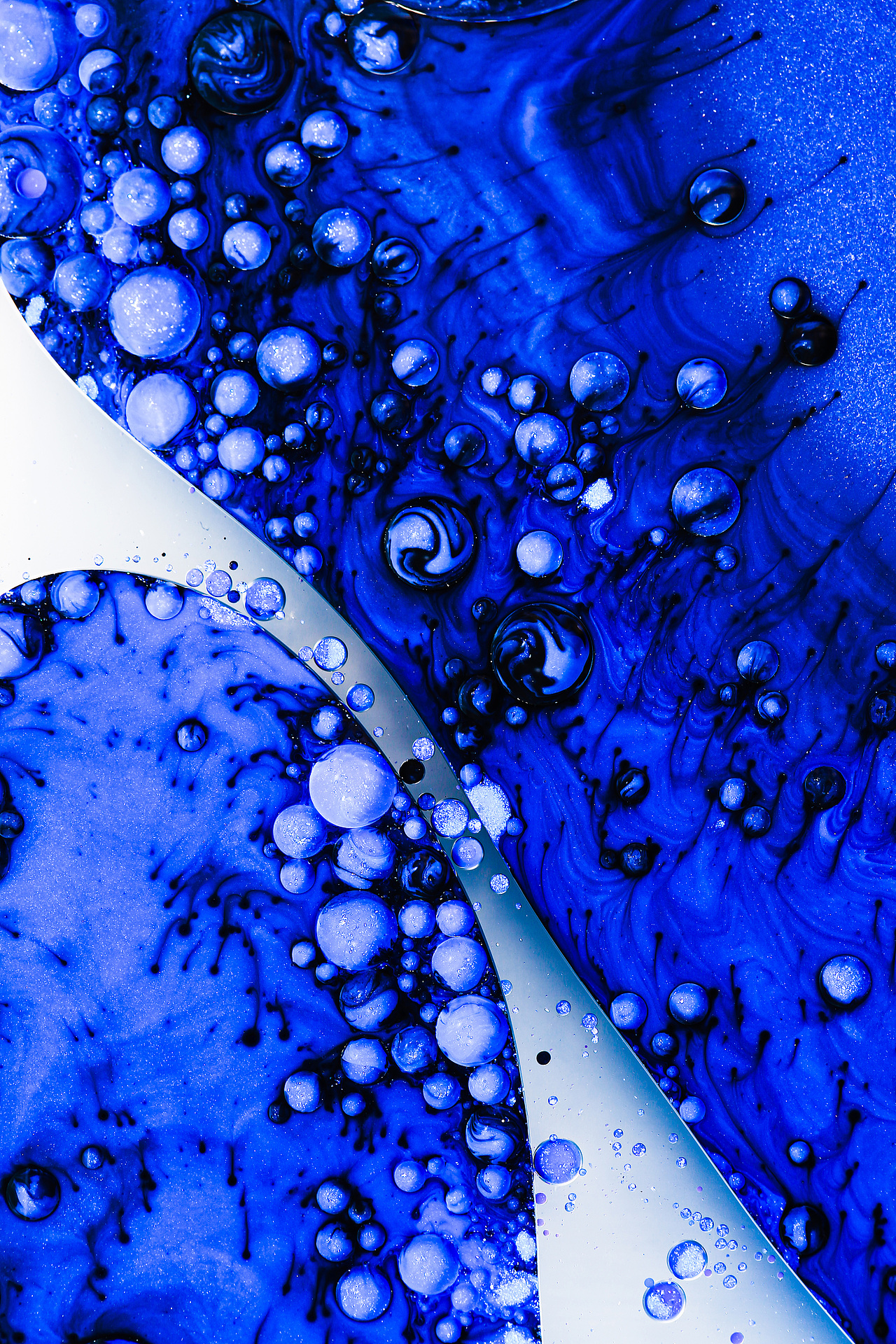 2019年年度流行色为珊瑚橘色