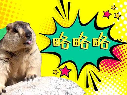 凶萌鼠鼠（个人主页-ZNDAwOTc3NTI=） - 宣传物料 - 站酷设计师小超美术老师原创素材 - 站酷ZCOOL