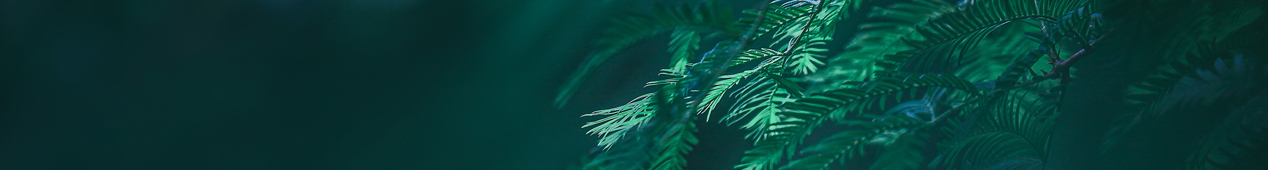 zrs小鄒的個(gè)人主頁（封面預(yù)覽） - 主頁封面設(shè)置 - 站酷設(shè)計(jì)師zrs小鄒原創(chuàng)素材 - 站酷ZCOOL