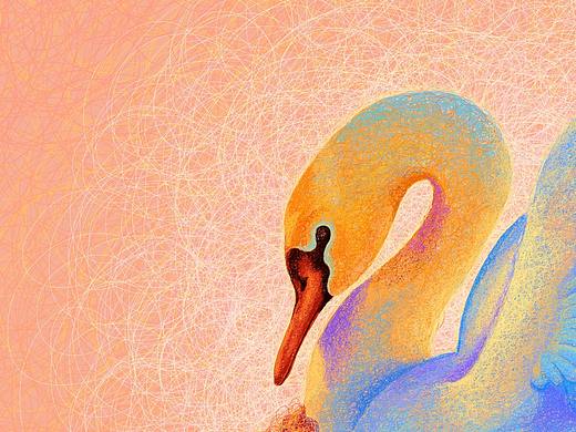 线圈插画-习作-1