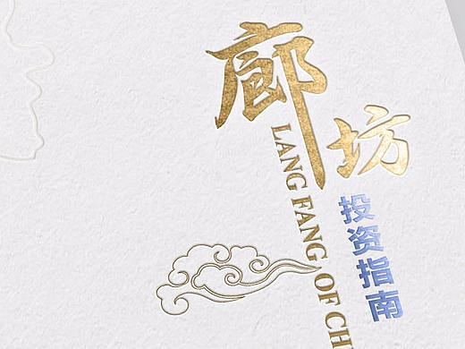 廊坊政府招商画册设计