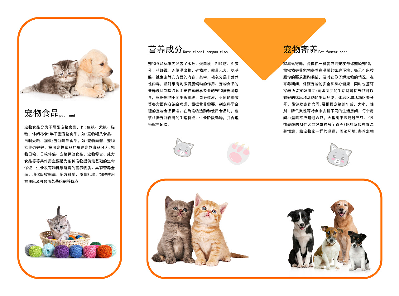 宠物三折页