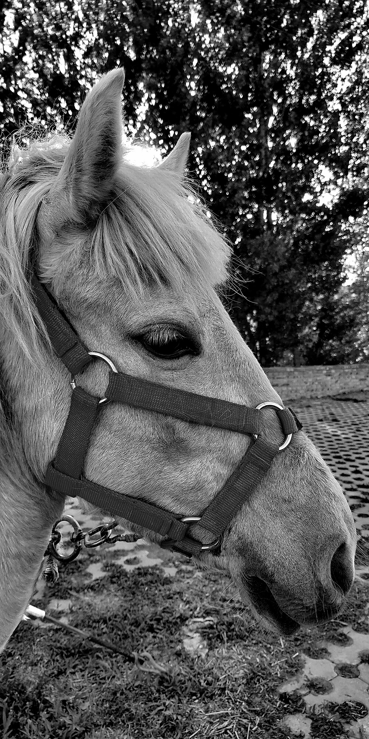 2019年北漂所见—手机随拍(上)（图ZMTk2MTI2NTI0） - 人文/纪实摄影 - 站酷设计师我是王冲原创素材 - 站酷ZCOOL