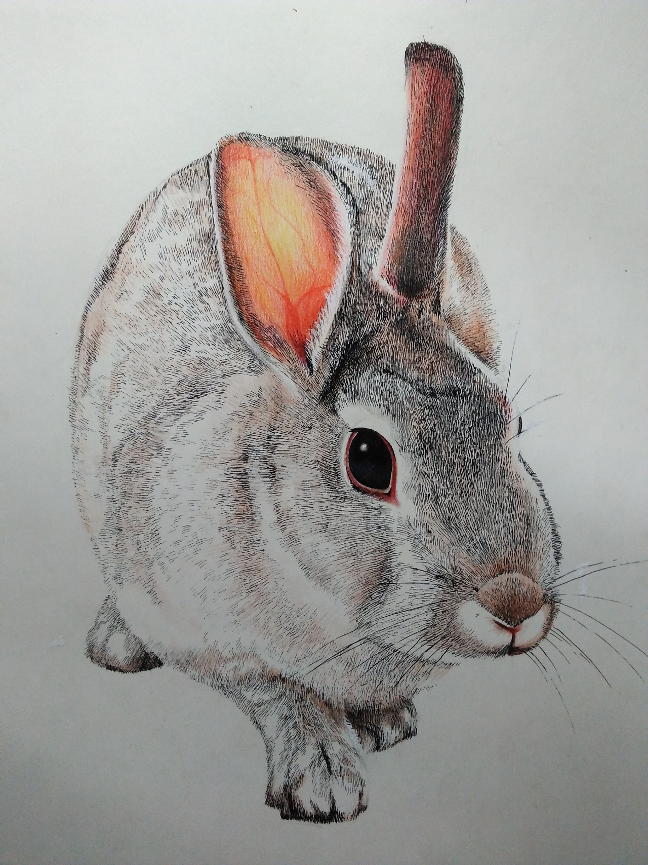 小兔子简笔画怎么画？