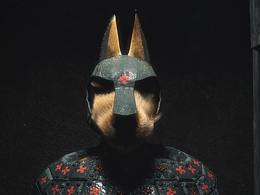 warrior