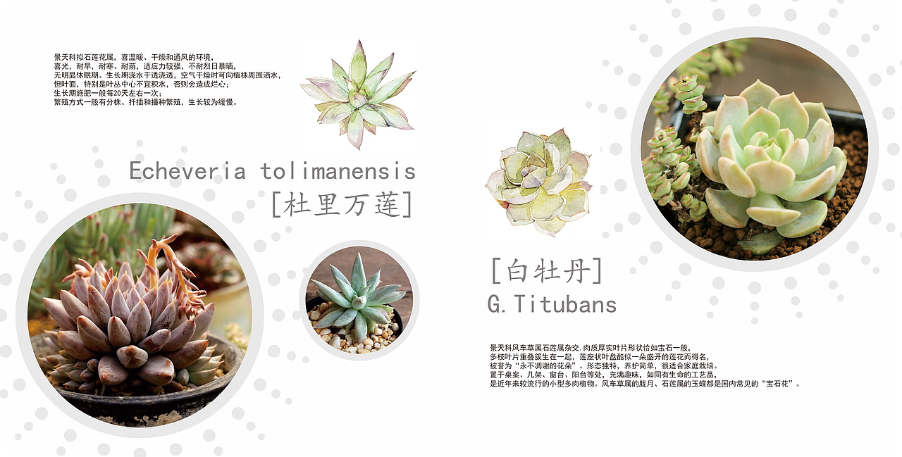 宣传画册（图ZNTg0MzUxMzY=） - 品牌 - 站酷设计师付静饼干原创素材 - 站酷ZCOOL