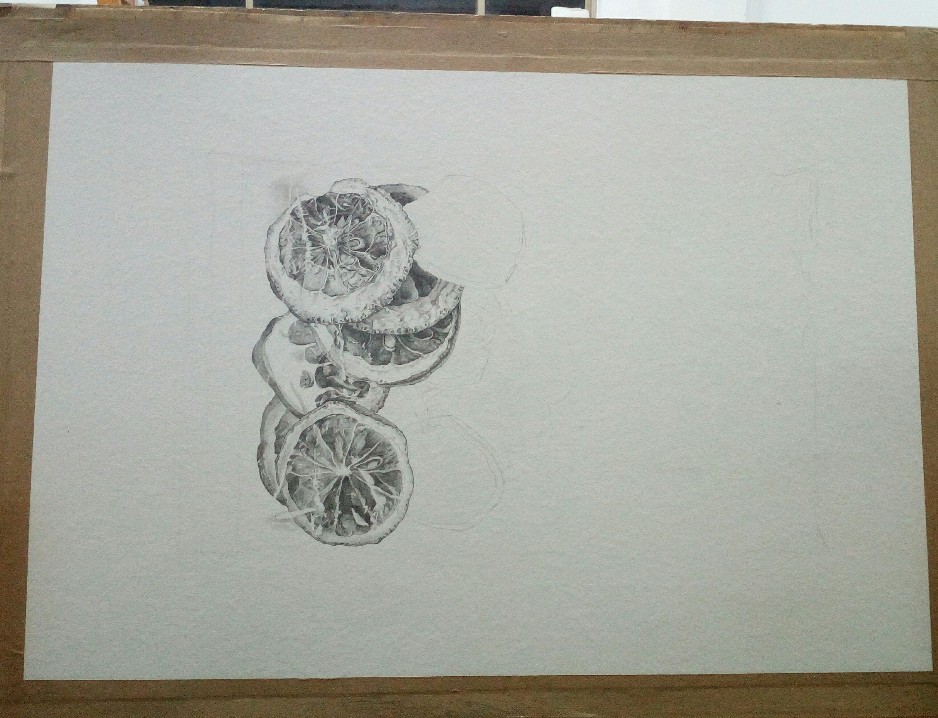 精微素描柠檬片照片图片