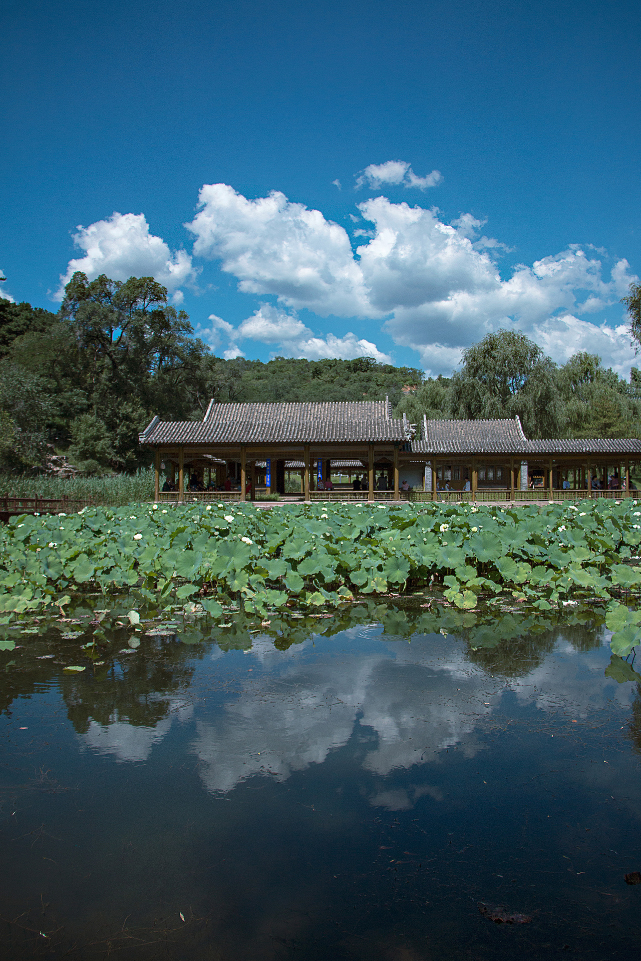 承德 避暑山莊（圖ZMTk5NzgzNjQw） - 風(fēng)光攝影 - 站酷設(shè)計(jì)師makaboka原創(chuàng)素材 - 站酷ZCOOL