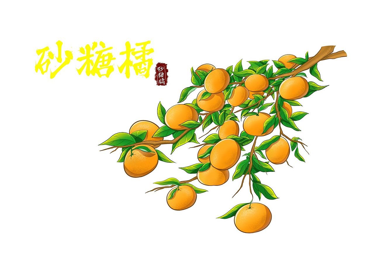 砂糖橘插画（图ZMzU5ODExODIw） - 商业插画 - 站酷设计师何Y娟原创素材 - 站酷ZCOOL