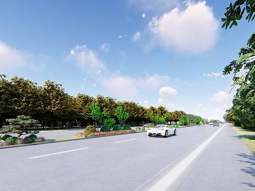 隔离带绿化设计