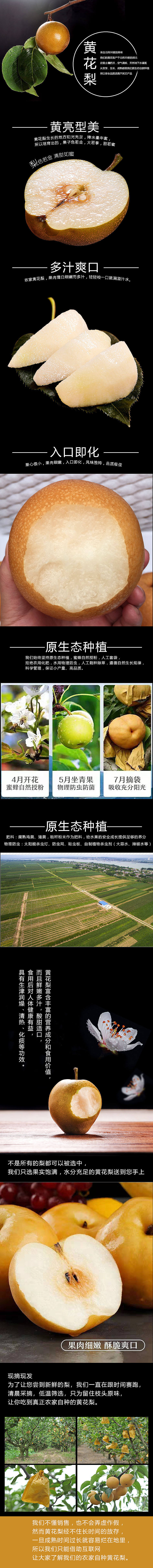 详情页（图ZMjExMTIyOTI4） - 电商 - 站酷设计师晓苏苏原创素材 - 站酷ZCOOL