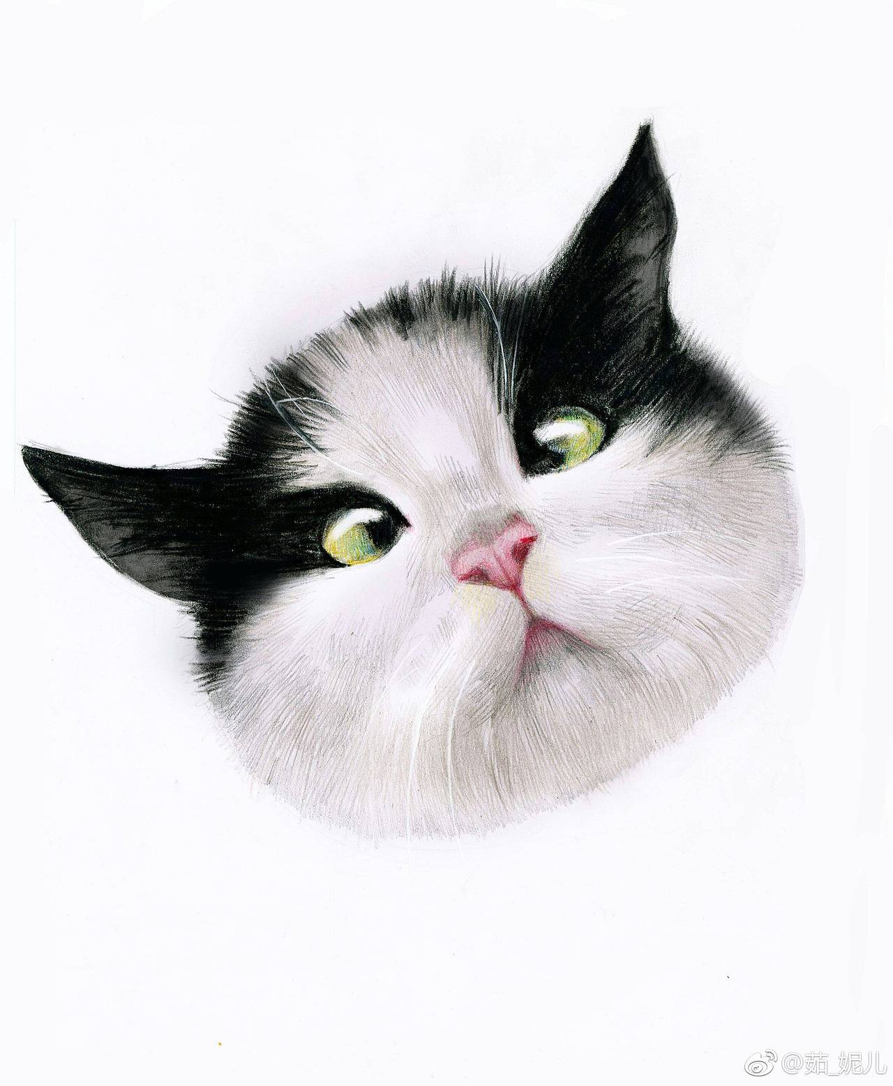撸猫新境界,彩铅猫咪对眼儿九联儿