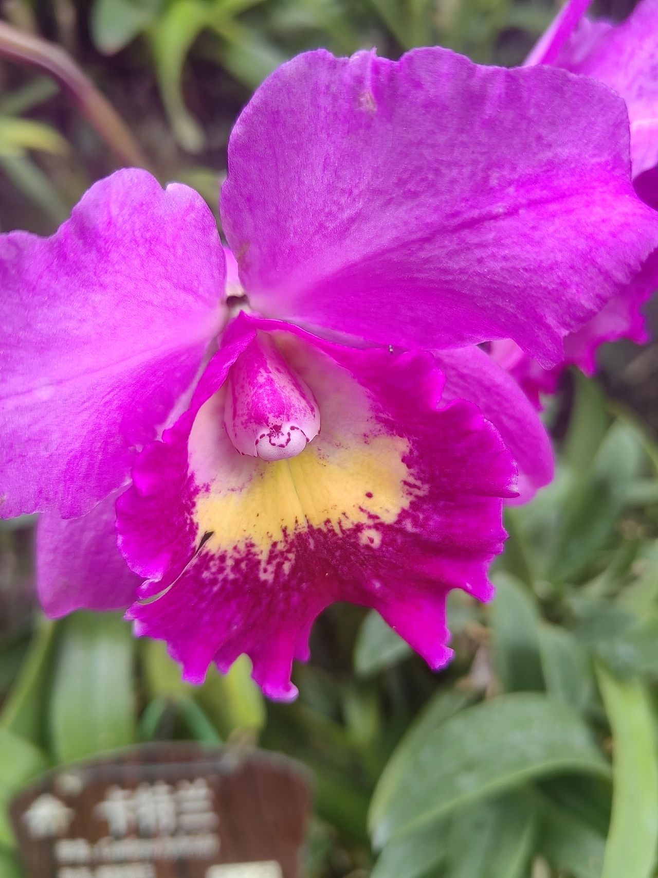 百花争艳（图ZMzY3NTcxMzUy） - 风光摄影 - 站酷设计师浓浓蜜蜂原创素材 - 站酷ZCOOL