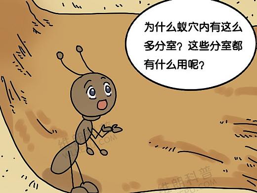 维朗科普——蚂蚁搬家