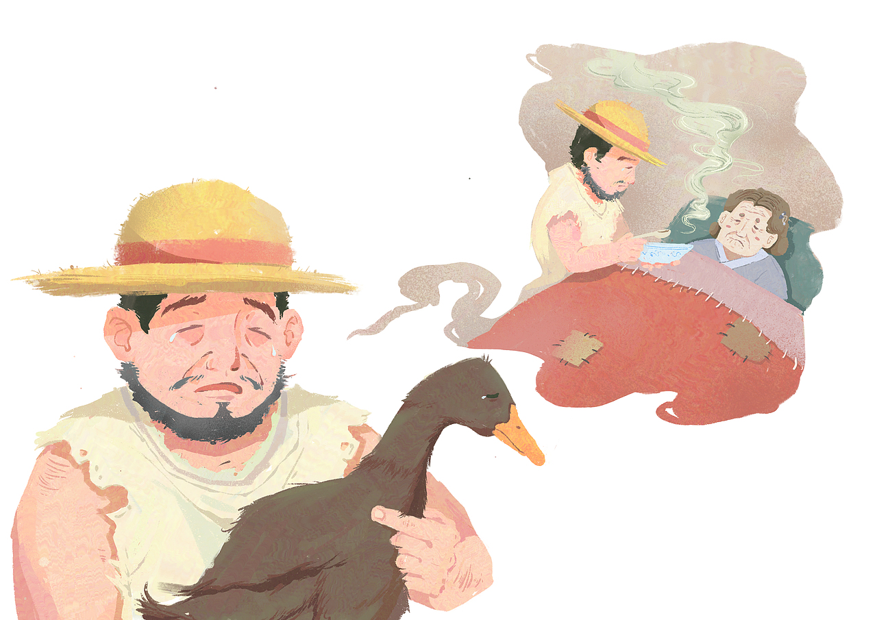 插画绘本《蒋敬买鸭》（图ZMjYyMDgwNzQ4） - 绘本 - 站酷设计师是海贼小胡原创素材 - 站酷ZCOOL