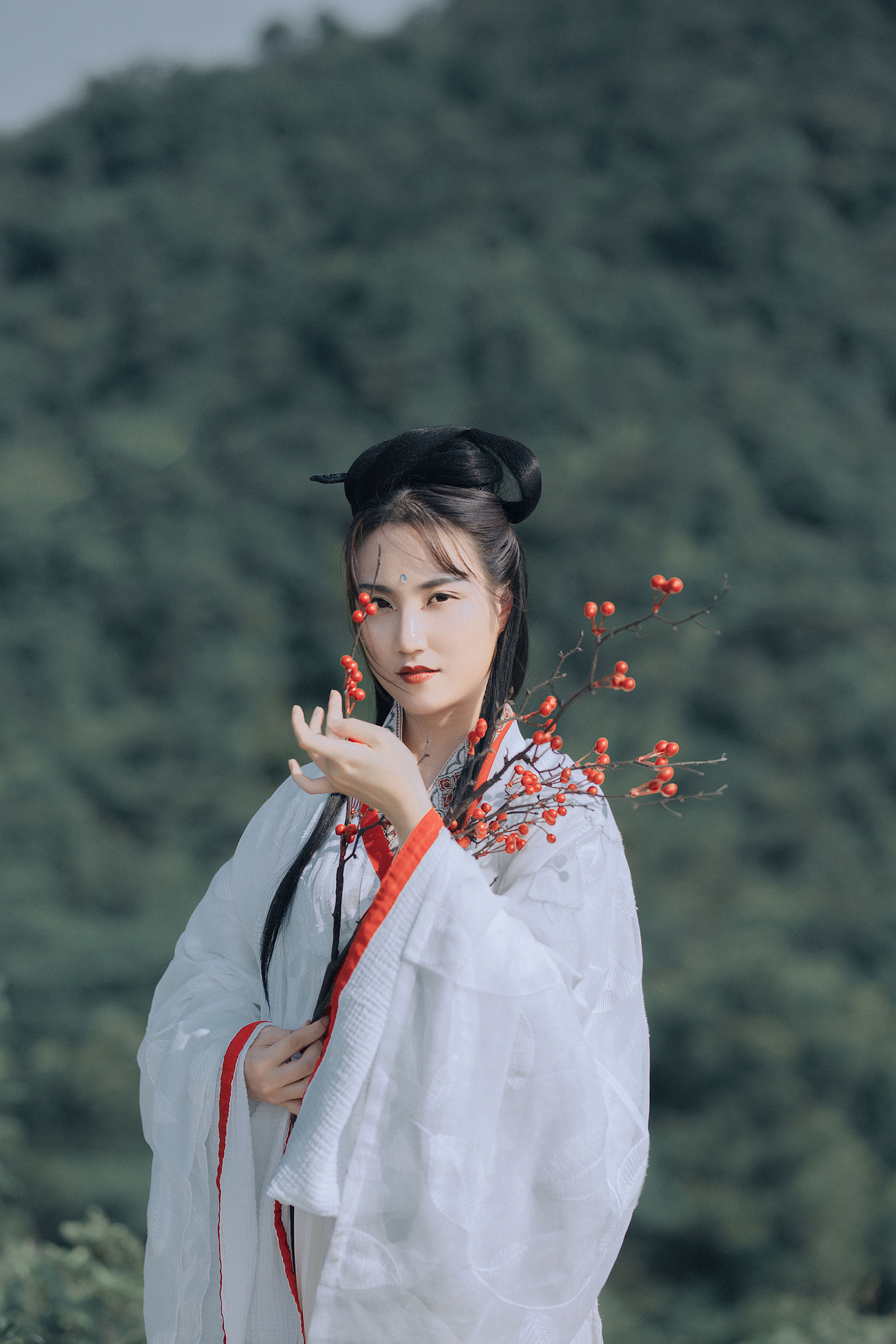 青山归客
