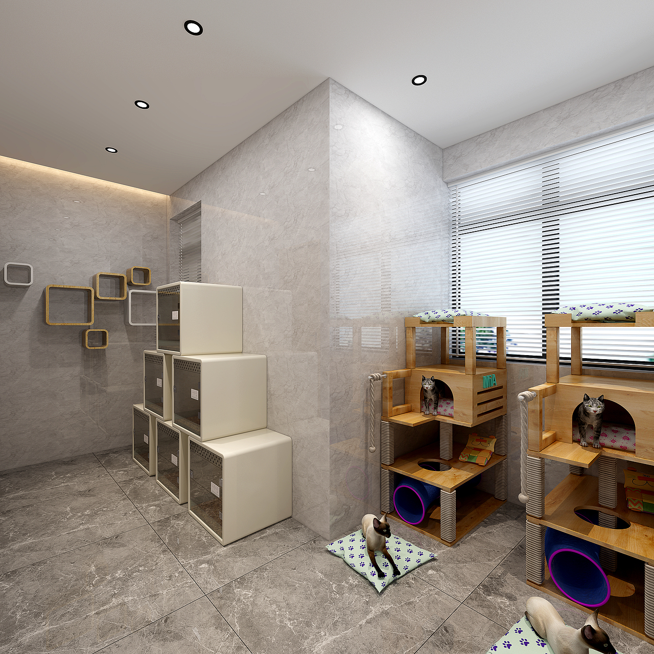 宠物店（图ZMTY1MjI3ODc2） - 家装设计 - 站酷设计师小小萌啊原创素材 - 站酷ZCOOL