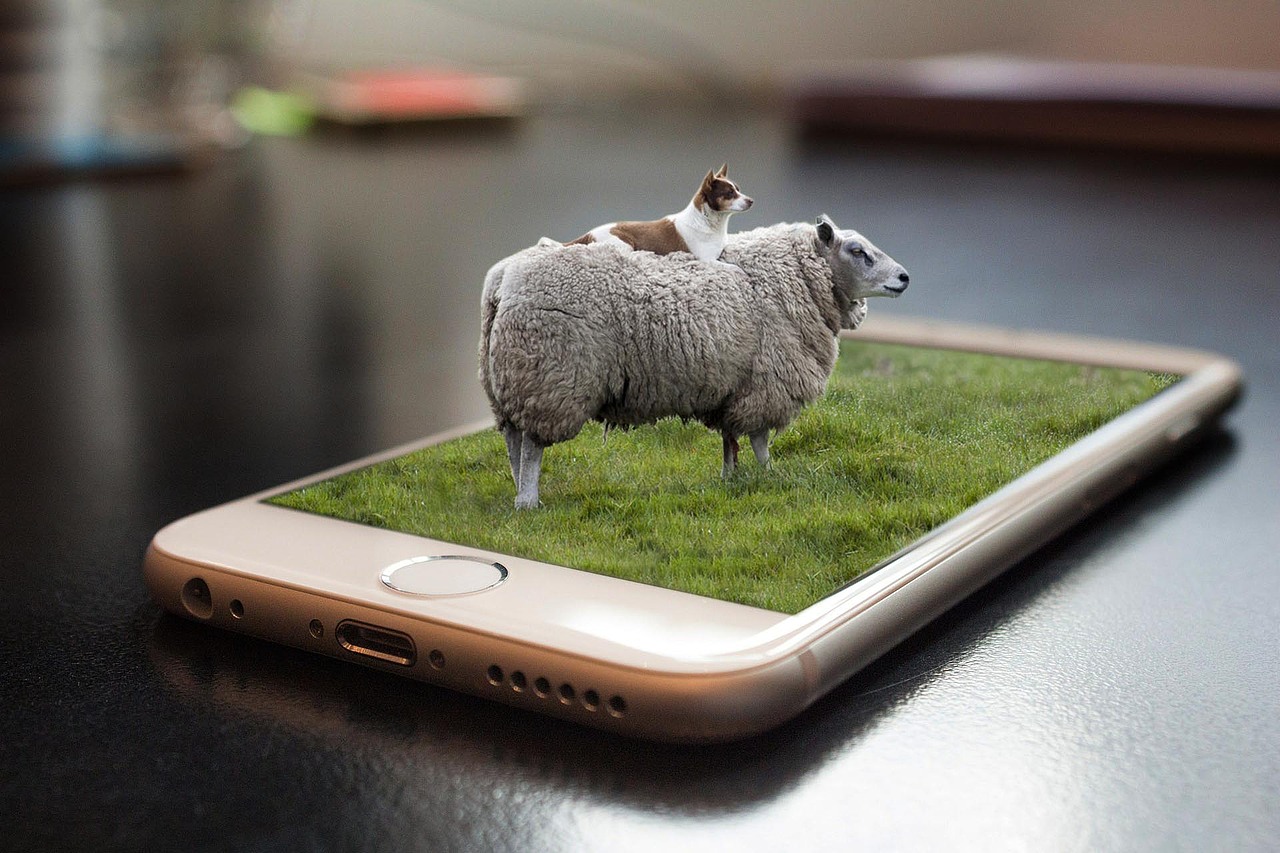 羊手机的合成（图ZMTA3MTYyMzk2） - 其他平面 - 站酷设计师HowardL原创素材 - 站酷ZCOOL