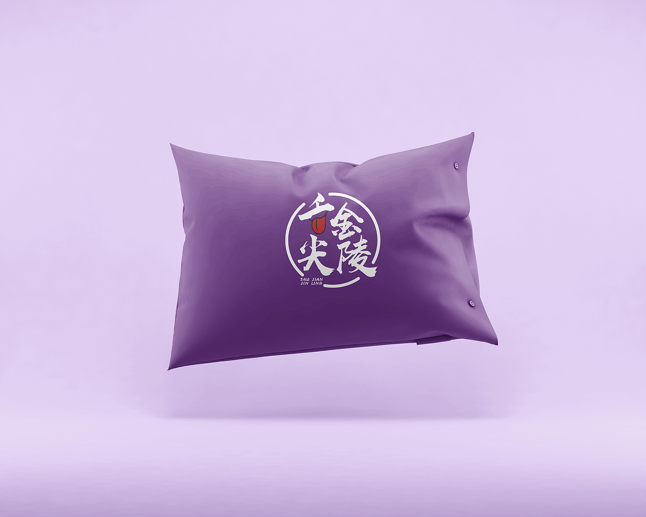 餐饮品牌设计案例欣赏-舌尖金陵鸭血粉丝汤