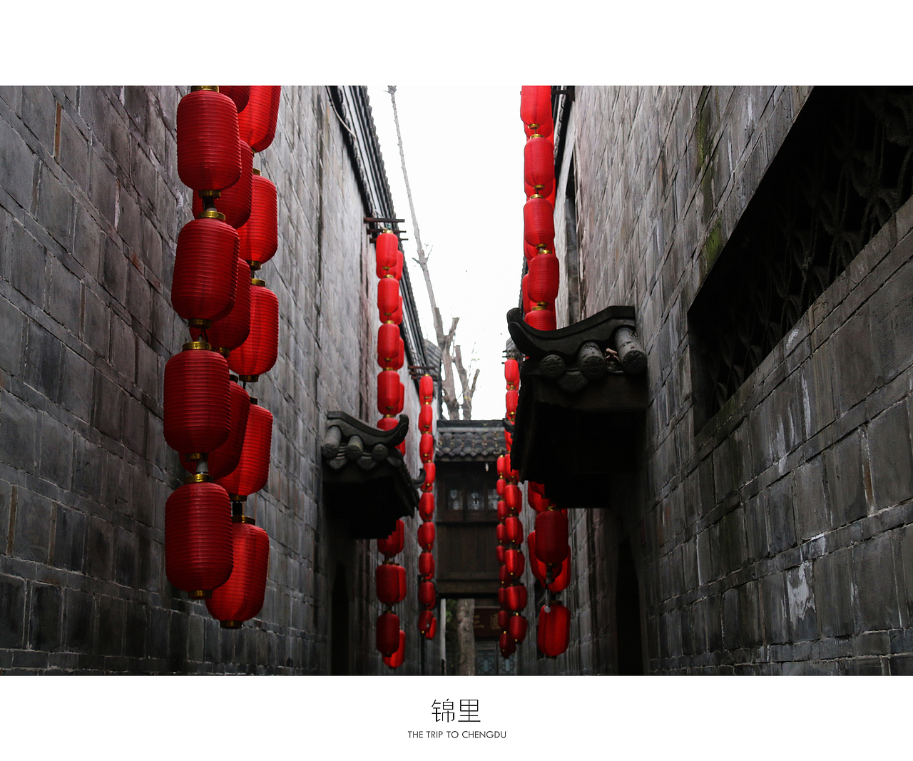 蓉城成都（图ZNDU0OTc2ODQ=） - 风光摄影 - 站酷设计师十一月的疯子原创素材 - 站酷ZCOOL