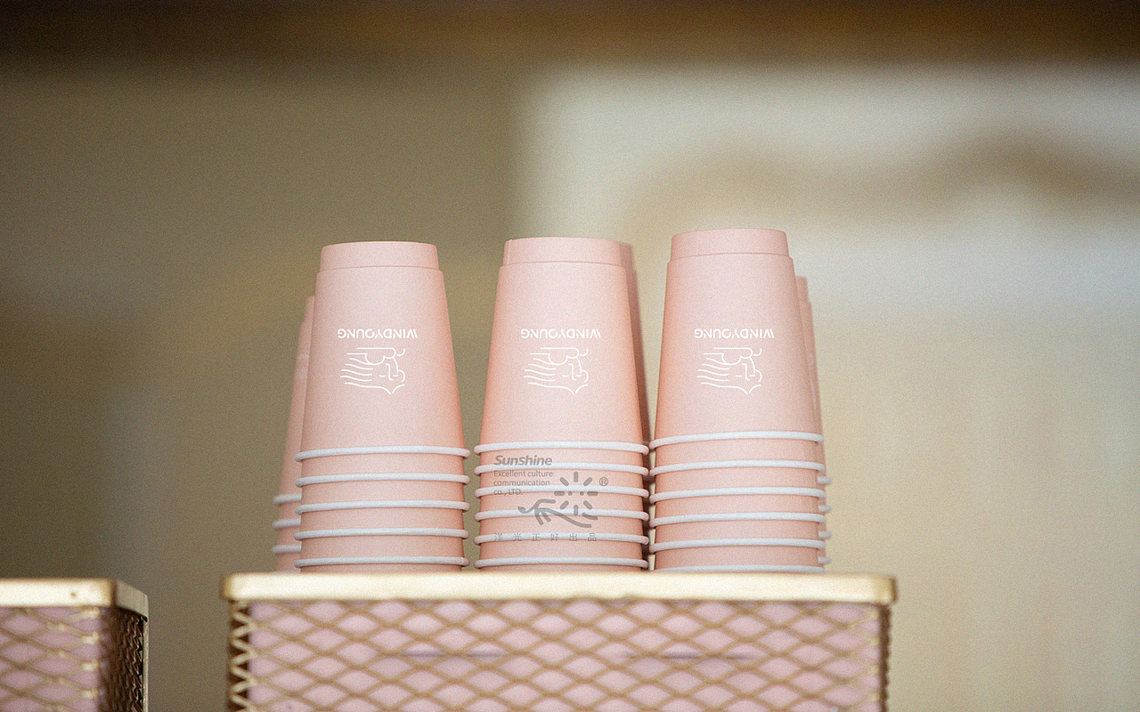 纸巾包装设计 湿巾包装 湿纸巾包装设计 卫生巾包装 vi（图ZMjUyODI0Mzk2） - 包装 - 站酷设计师郑昌洪品牌vi包装原创素材 - 站酷ZCOOL