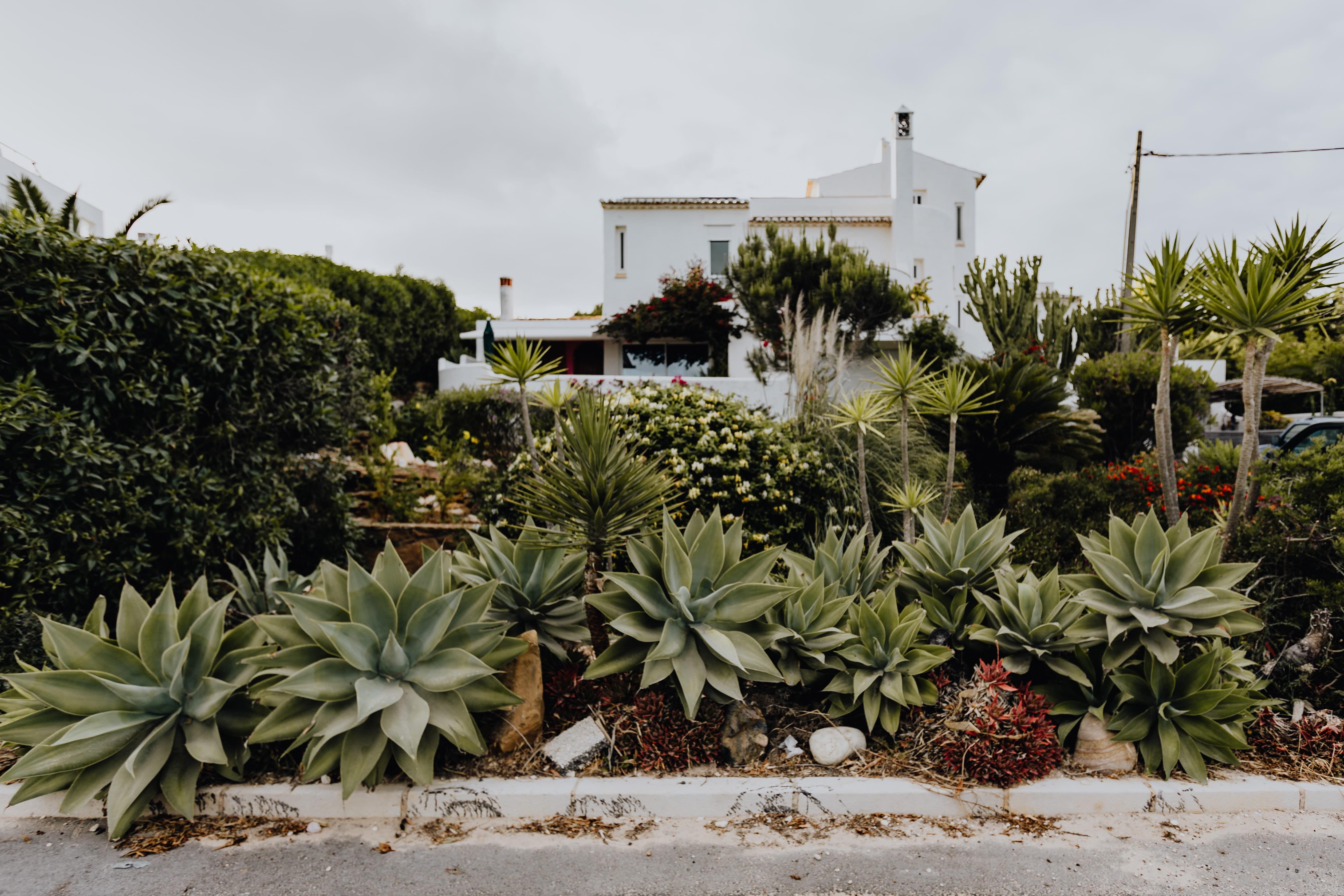 一只奔跑的馬的個(gè)人主頁（封面預(yù)覽） - 主頁封面設(shè)置 - 站酷設(shè)計(jì)師一只奔跑的馬原創(chuàng)素材 - 站酷ZCOOL
