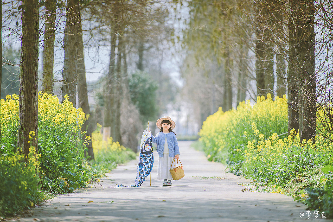 梦鱼 梦鱼（图ZMTg2NTA4NDQ4） - 商业插画 - 站酷设计师莫得感情的西瓜酱原创素材 - 站酷ZCOOL