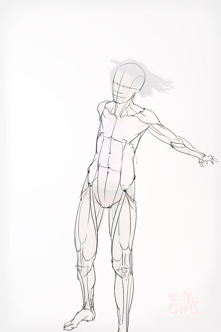 「素材」分享一波绘画专用人体解剖素材 part 09 |动漫|其他动漫|漫联