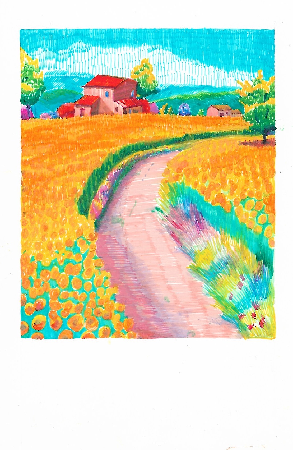 回家的路总是明亮的