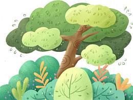 大树与植物们