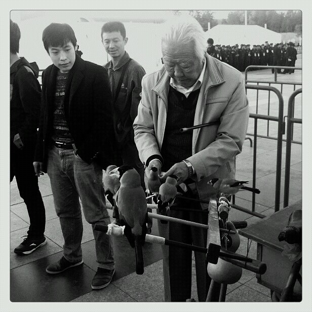 爱生活、爱手机随手拍、（图ZNzM5OTgwNA==） - 人文/纪实摄影 - 站酷设计师Hi丶滚原创素材 - 站酷ZCOOL