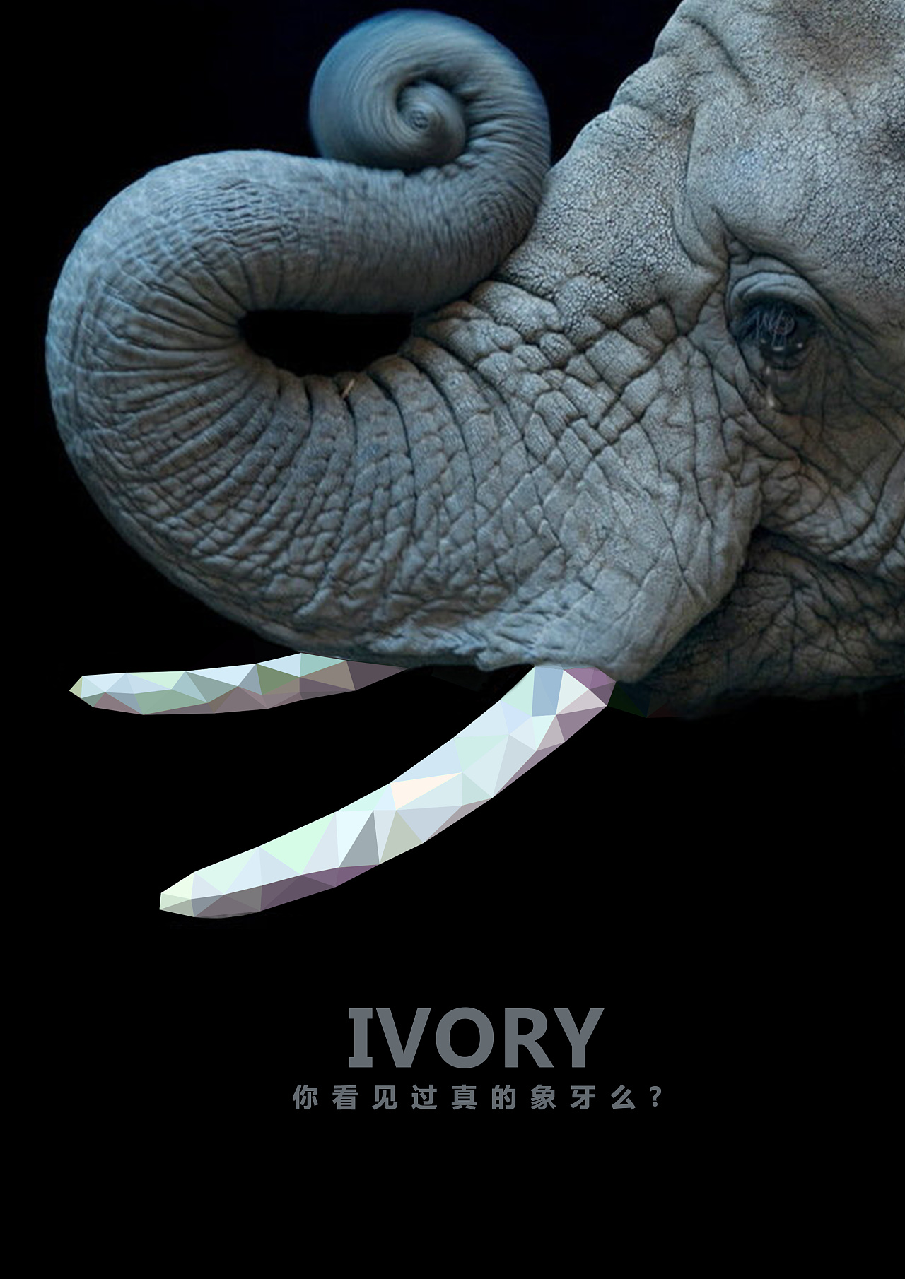 偷猎者比你看得多-大学时期作品整理|平面|海报|lukxx丶 - 原创作品