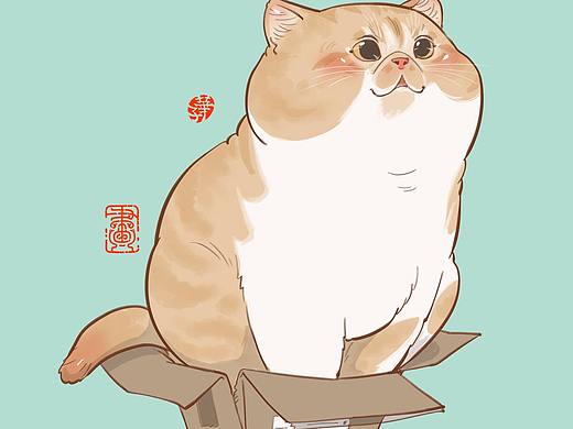 画猫的一千零七十三天，每天都来画猫哦