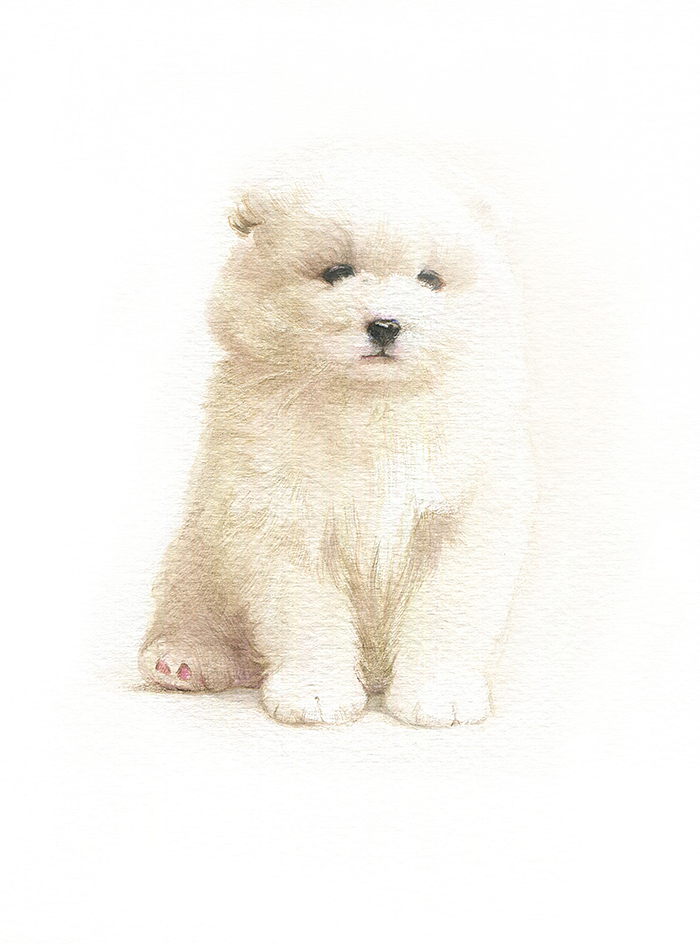 明天教室彩铅萌宠网络班简熹老师作品集（图ZMTUwNDM4MTI=） - 创作习作 - 站酷设计师明天教室原创素材 - 站酷ZCOOL