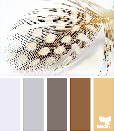 网页实物配色——灰白系（图ZMTQ5MzU5OTYw） - 其他网页 - 站酷设计师CoolerUX原创素材 - 站酷ZCOOL