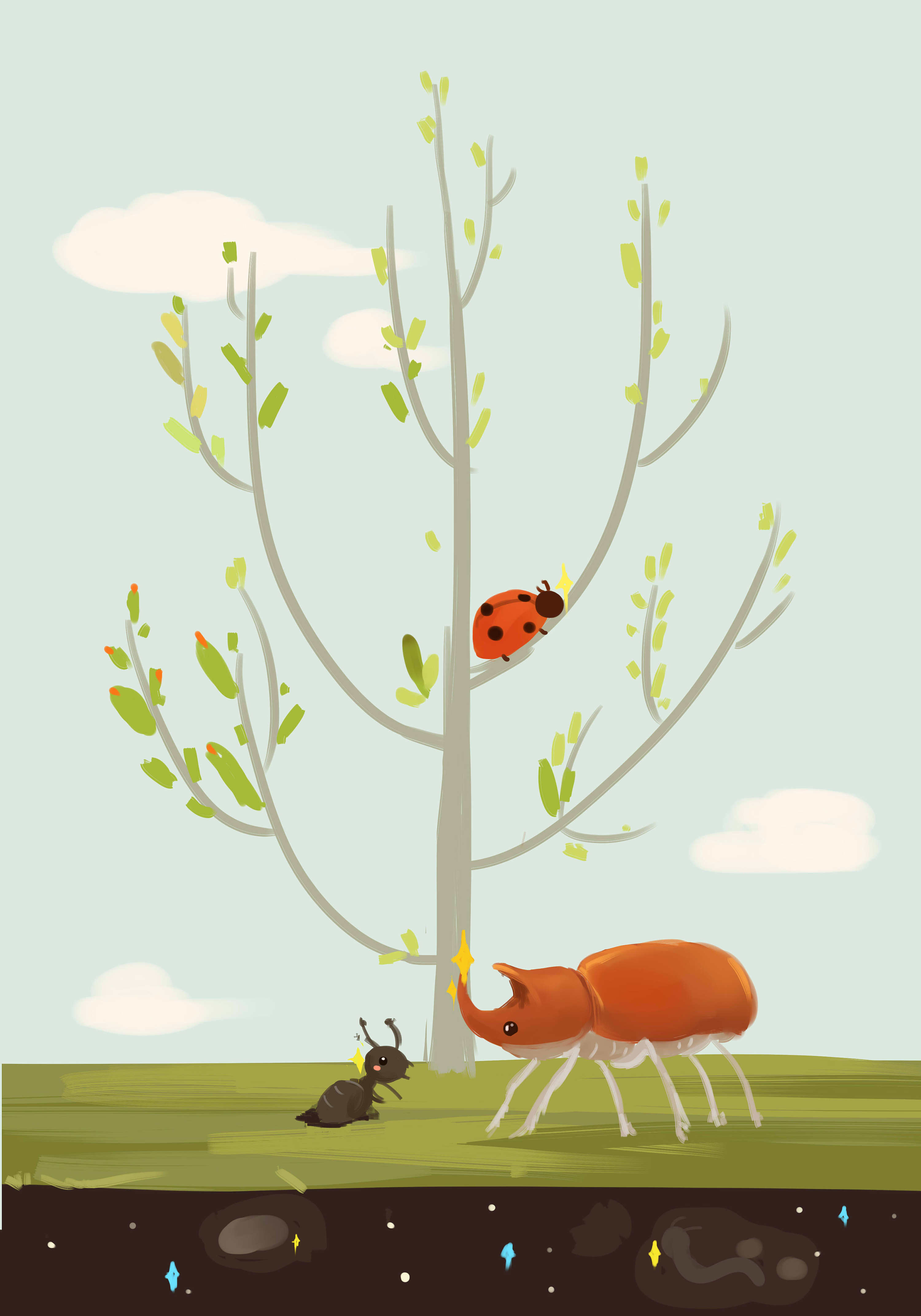 昆虫记草图|插画|商业插画|水母咪 - 原创作品 - 站酷 (zcool)