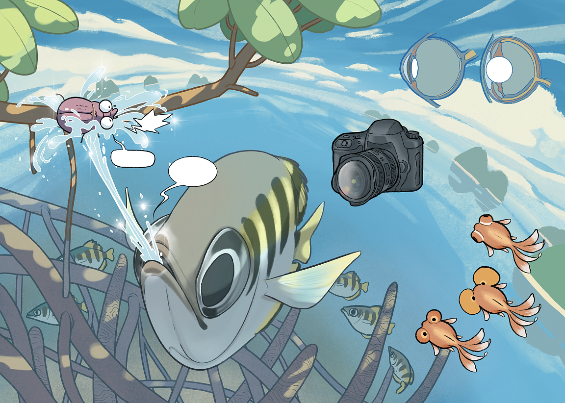 自然科普绘本（图ZMjc4MzgzMzQ0） - 绘本 - 站酷设计师kelai原创素材 - 站酷ZCOOL