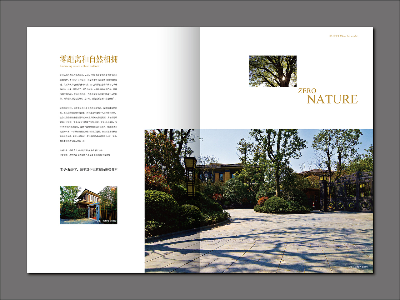 客户通讯杂志观天下1期（2011年作品）（图ZNjA3MzY2OA==） - 其他平面 - 站酷设计师设计苦行僧原创素材 - 站酷ZCOOL