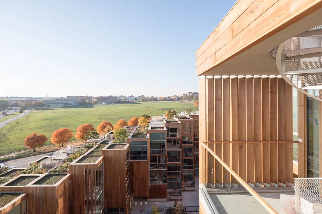 屋顶设计丨房顶越怪,设计越帅,全球30例屋顶_品鉴文创-站酷zcool