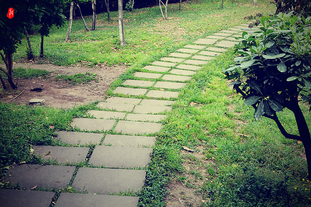 绿地小径