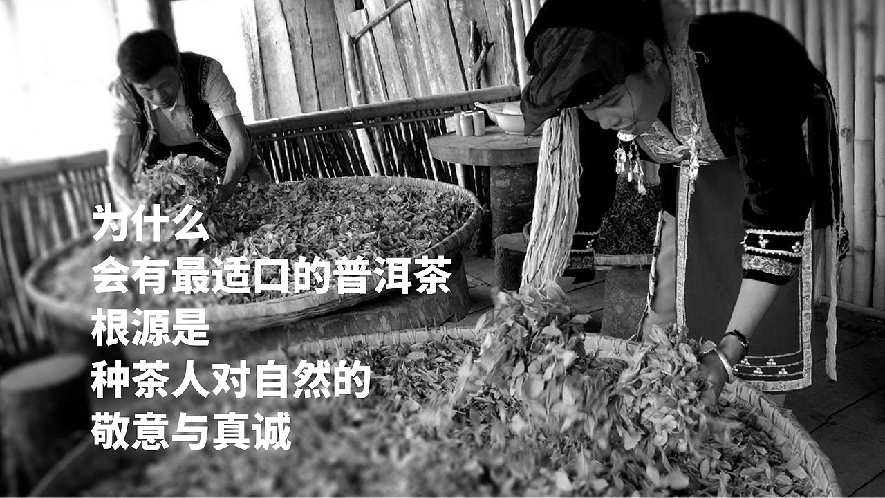 茶品牌一品堂包装与电商营销设计